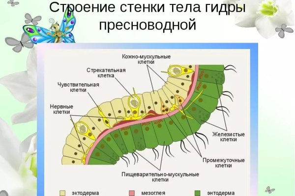 Mega площадка даркнет