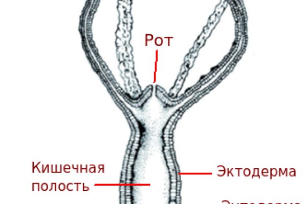 Mega darknet ссылка тор